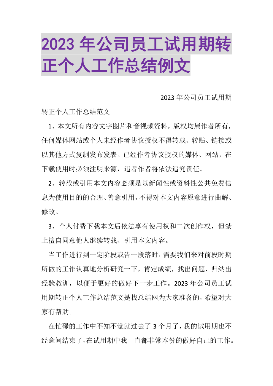 2023年公司员工试用期转正个人工作总结例文.doc_第1页