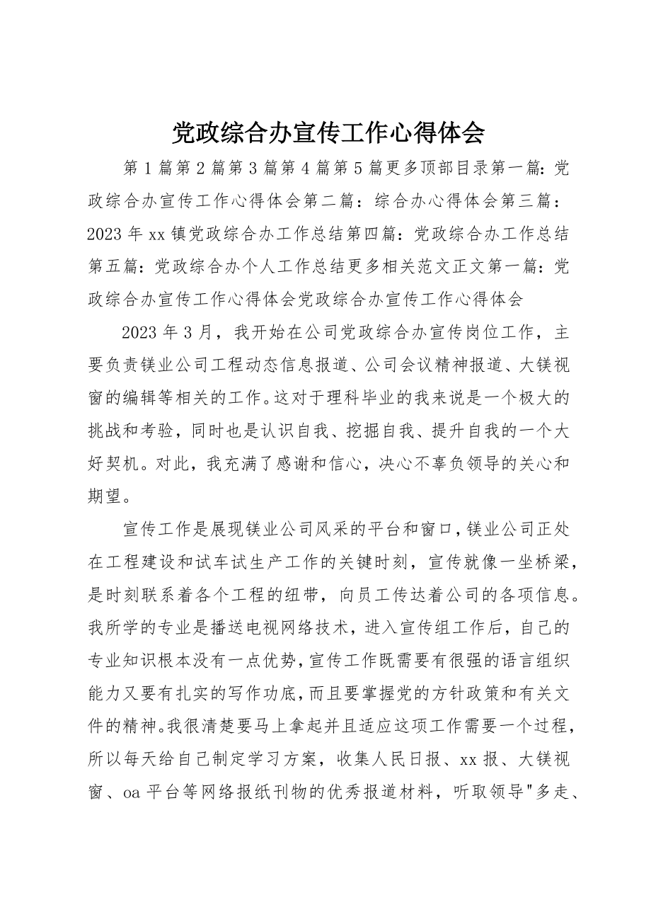 2023年党政综合办宣传工作心得体会.docx_第1页