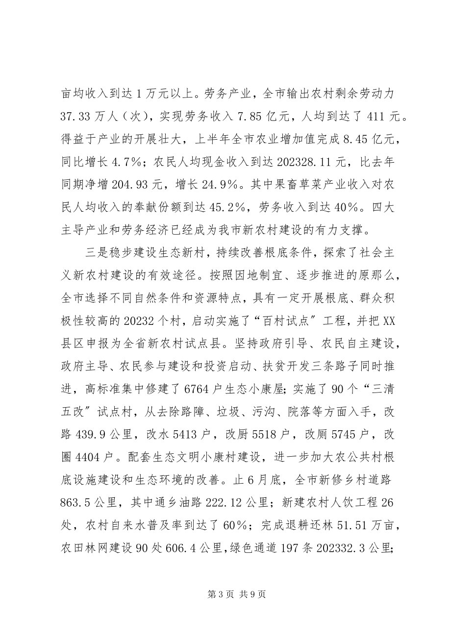 2023年立足市情　科学定位　创新发展　积极推进社会主义新农村建设范.docx_第3页