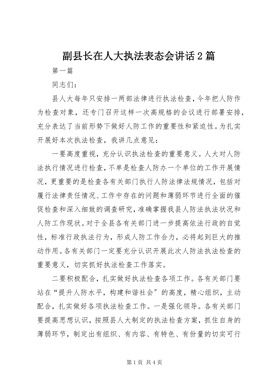 2023年副县长在人大执法表态会致辞2篇.docx_第1页