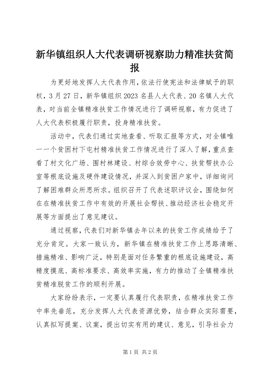 2023年新华镇组织人大代表调研视察助力精准扶贫简报.docx_第1页