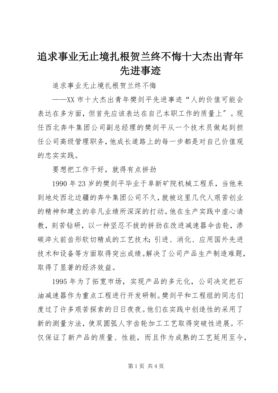 2023年追求事业无止境扎根贺兰终不悔十大杰出青年先进事迹.docx_第1页