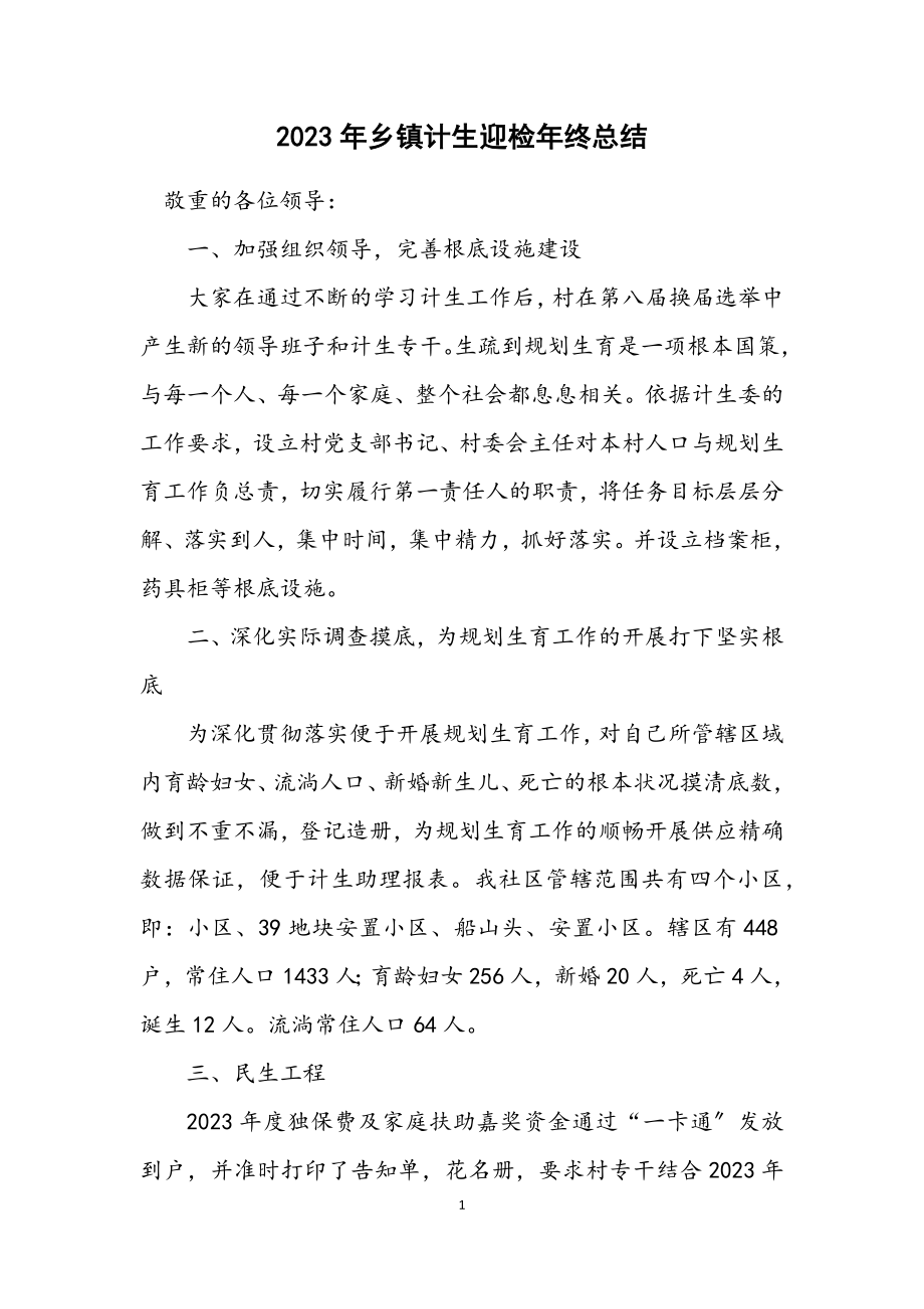 2023年乡镇计生迎检年终总结.docx_第1页