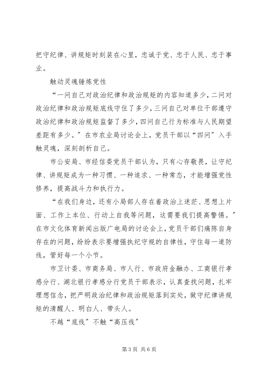 2023年严明政治纪律严守政治规矩心得体会.docx_第3页