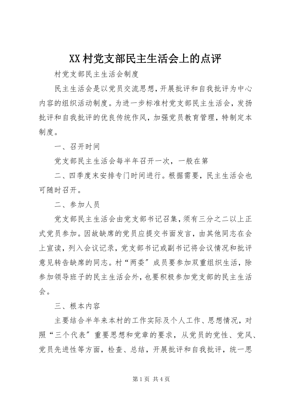 2023年XX村党支部民主生活会上的点评新编.docx_第1页