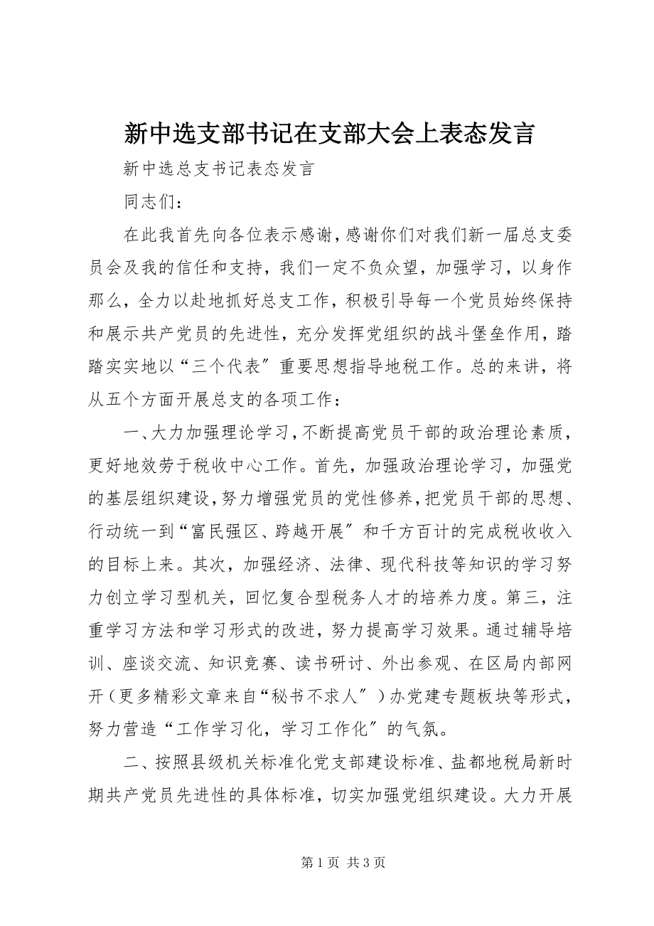 2023年新当选支部书记在支部大会上表态讲话.docx_第1页