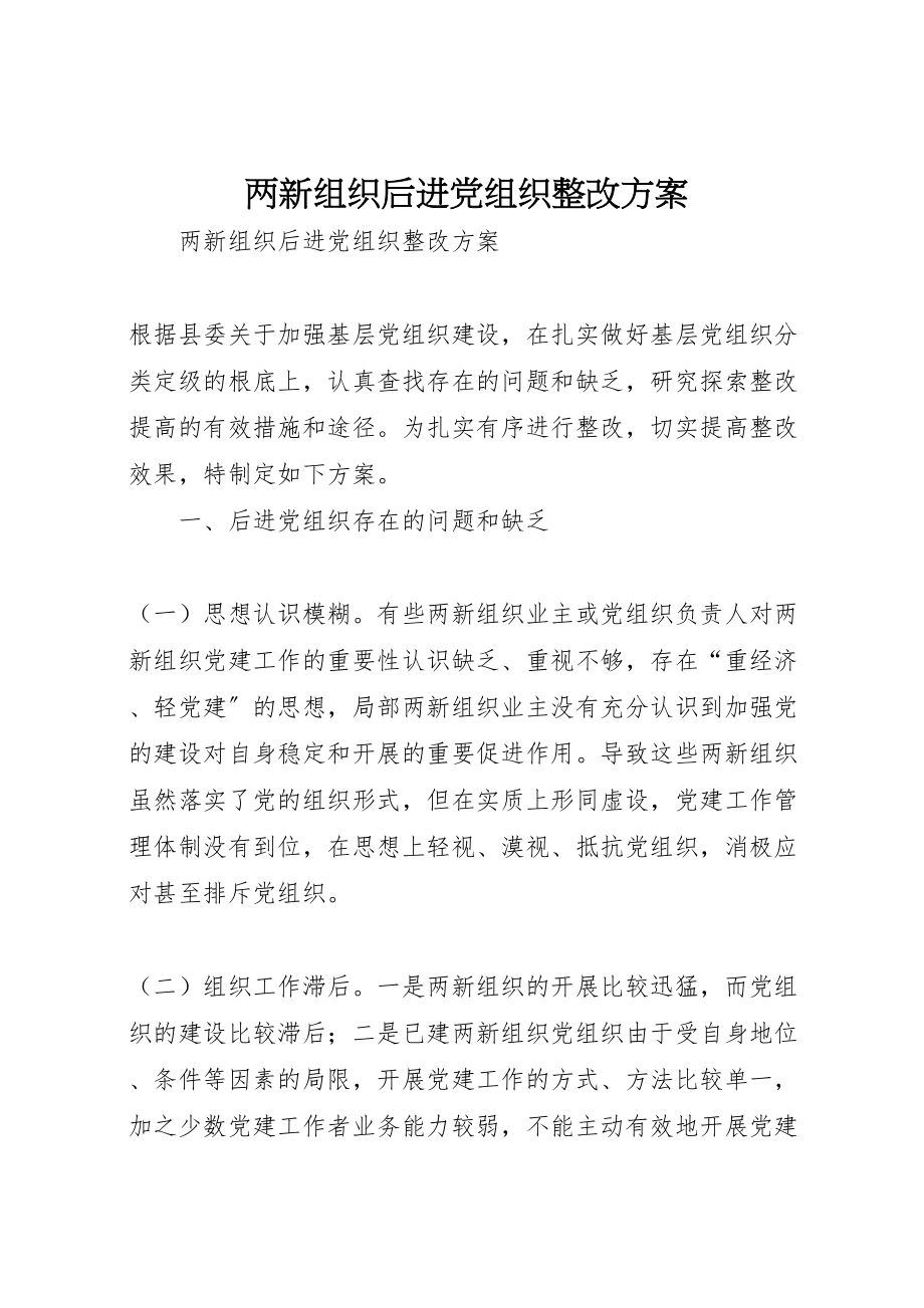 2023年两新组织后进党组织整改方案.doc_第1页