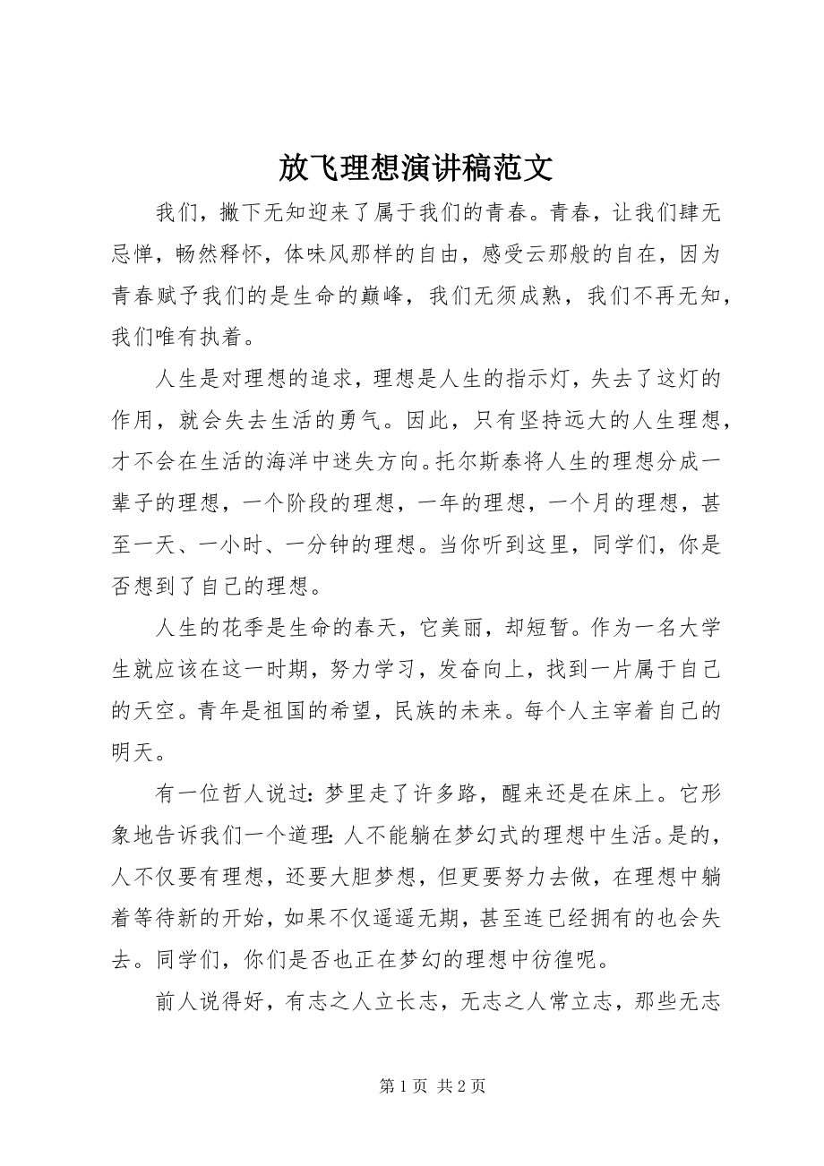 2023年放飞理想演讲稿.docx_第1页