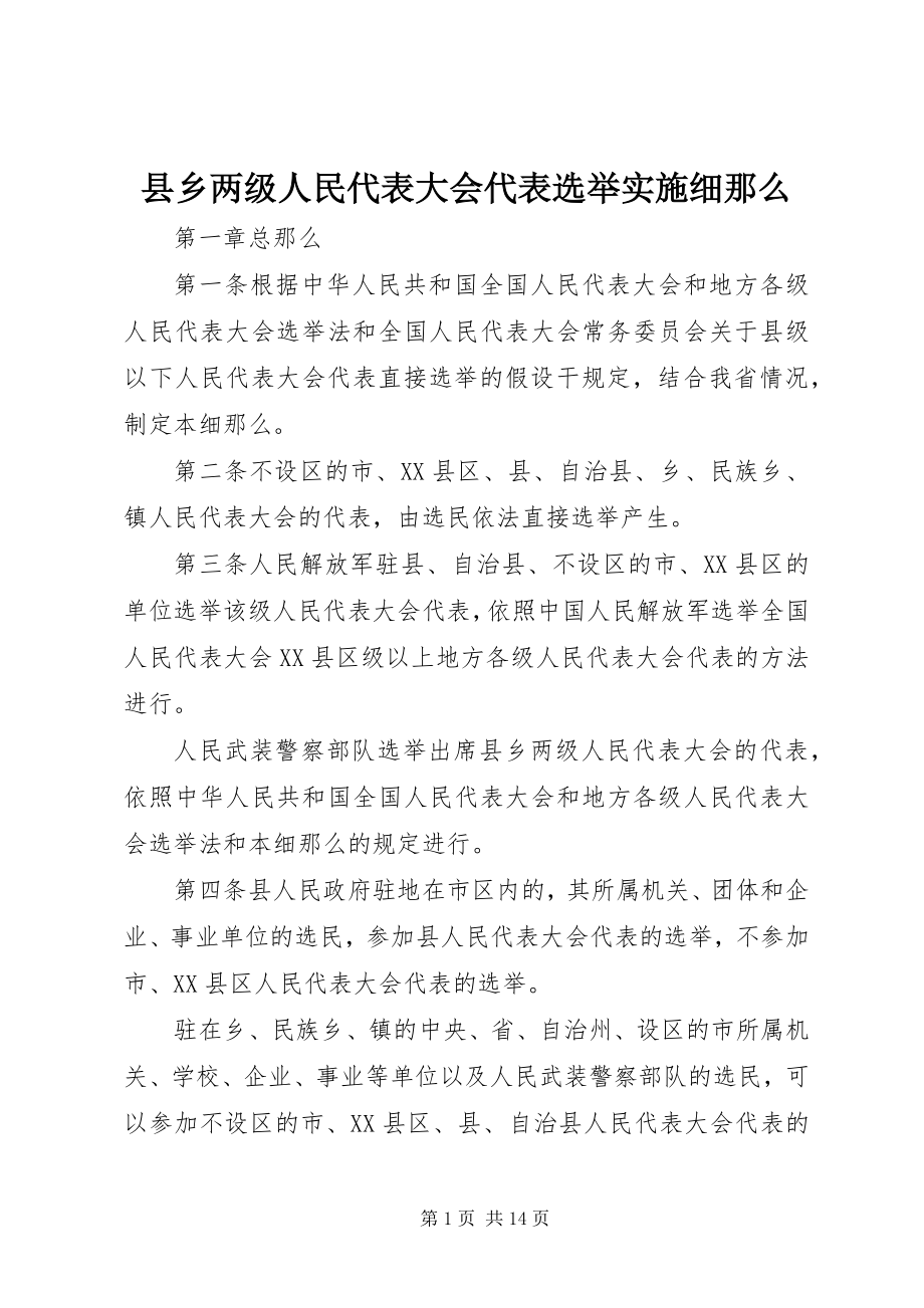 2023年县乡两级人民代表大会代表选举实施细则.docx_第1页