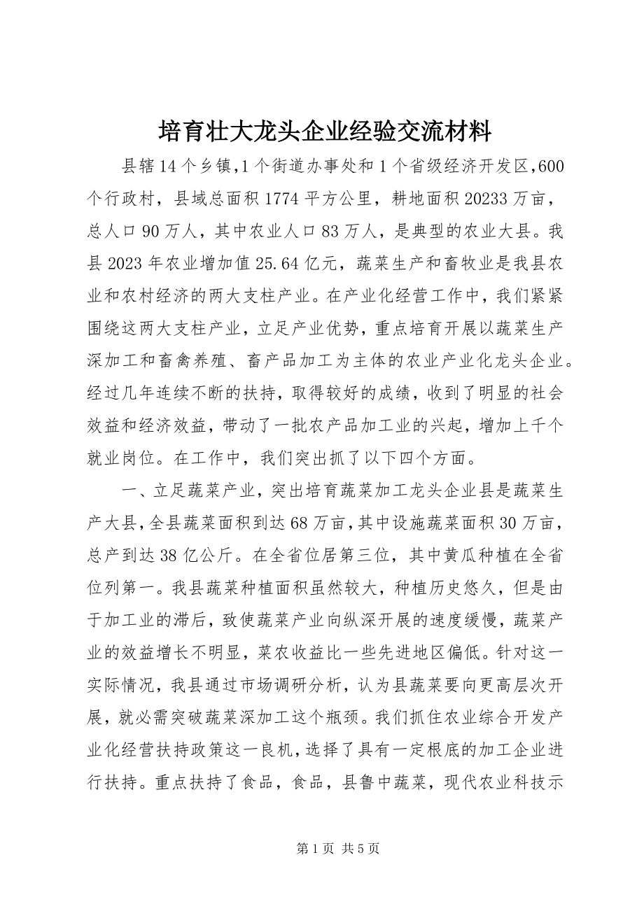 2023年培育壮大龙头企业经验交流材料.docx_第1页