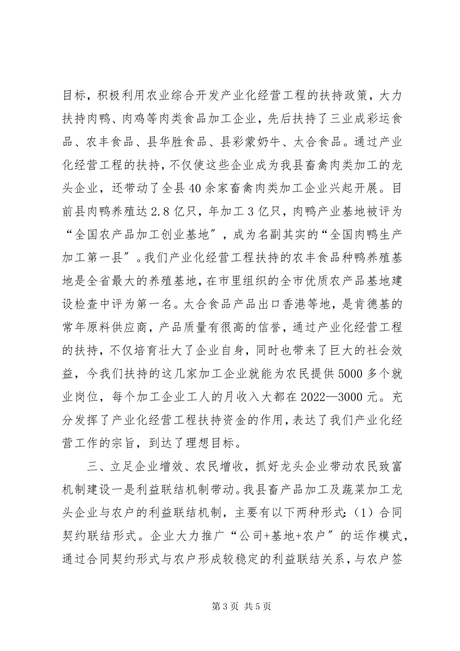 2023年培育壮大龙头企业经验交流材料.docx_第3页