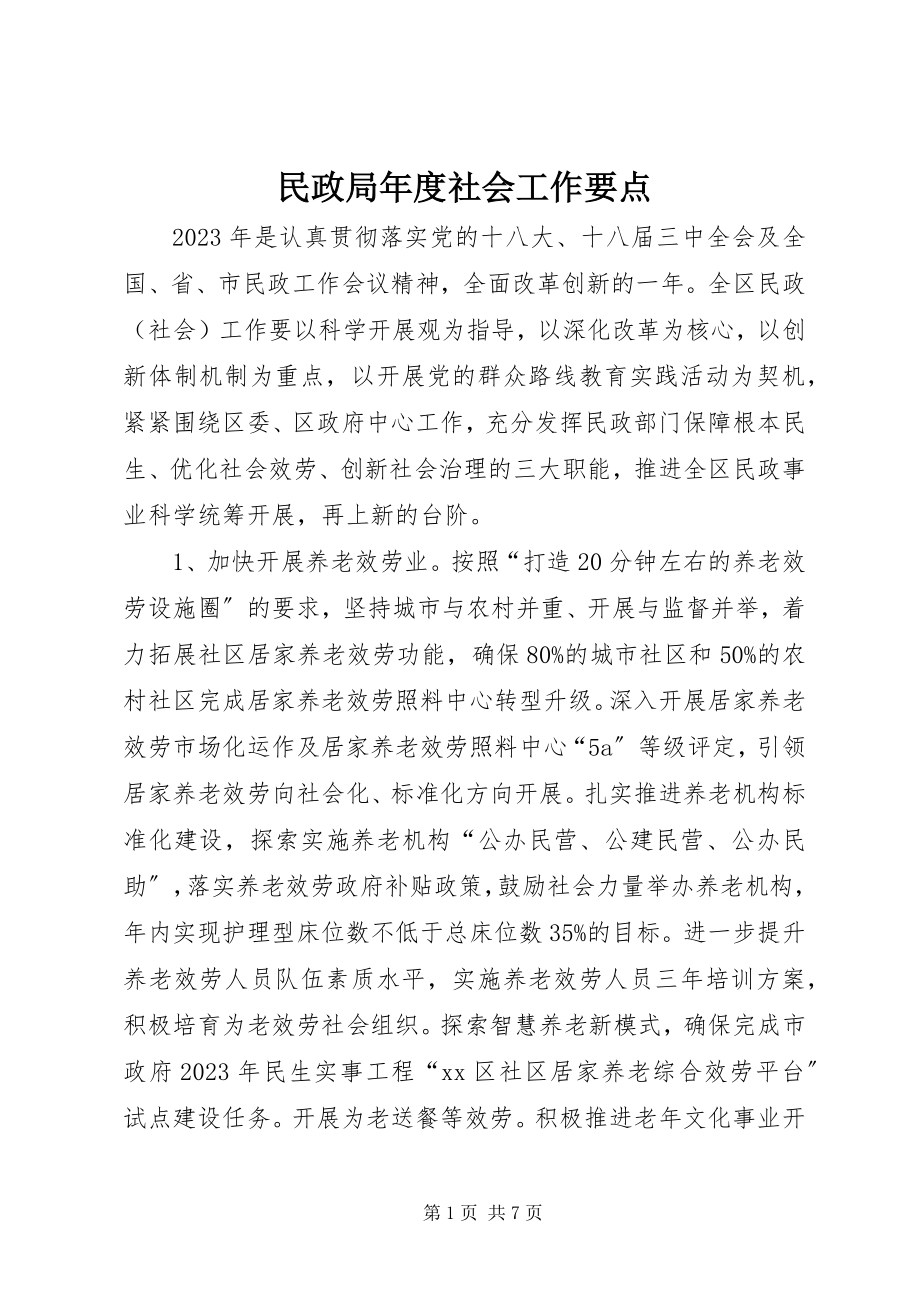 2023年民政局度社会工作要点.docx_第1页