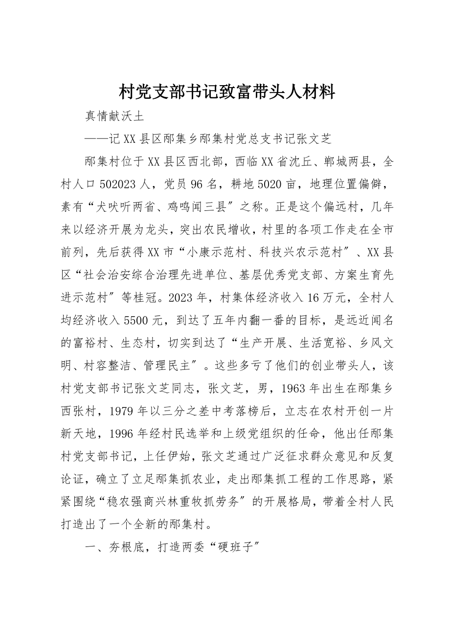 2023年村党支部书记致富带头人材料新编.docx_第1页