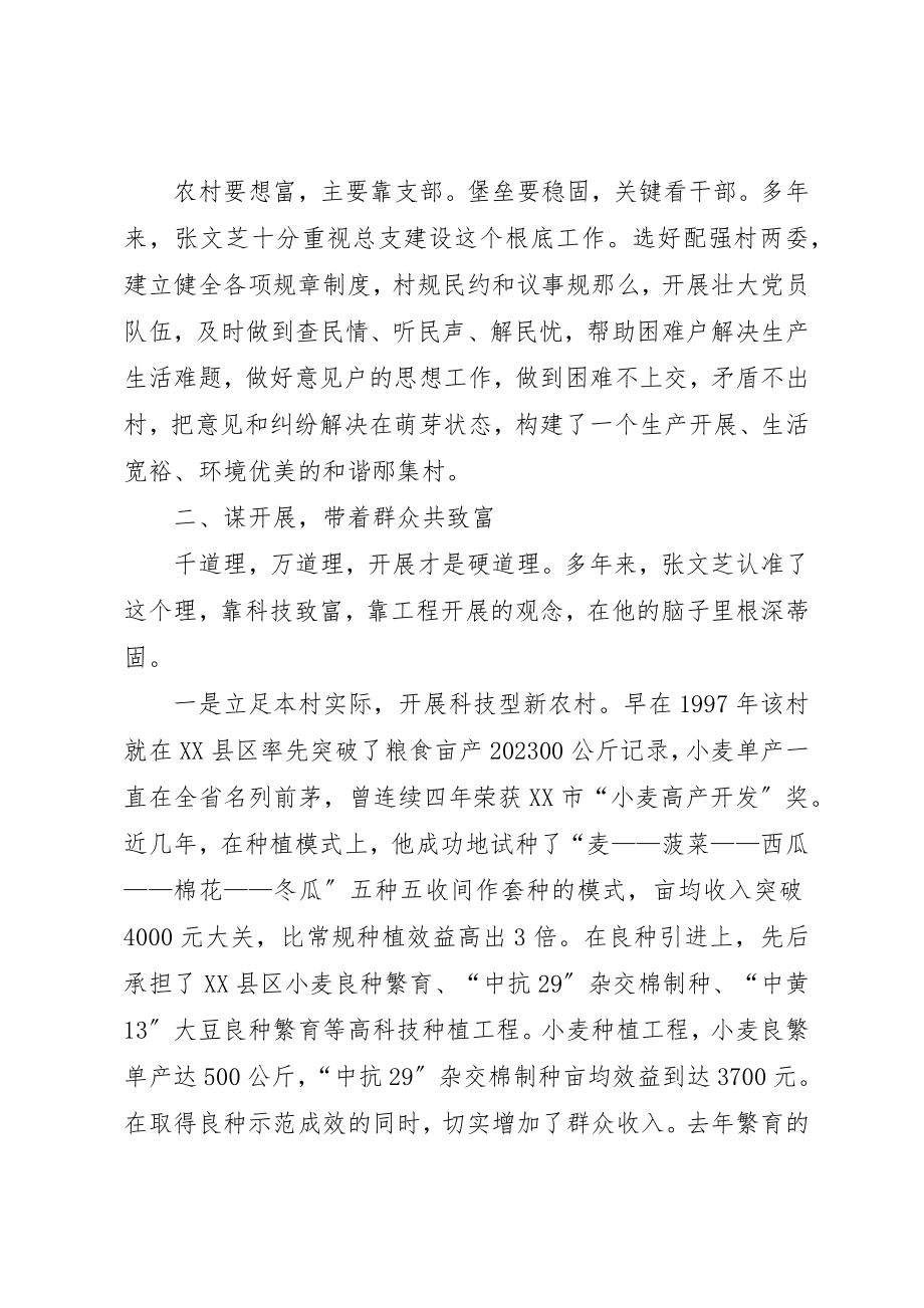 2023年村党支部书记致富带头人材料新编.docx_第2页