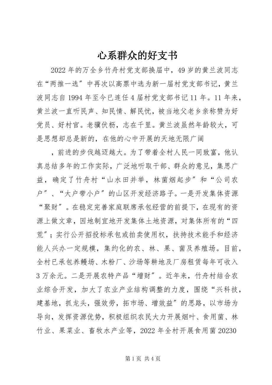 2023年心系群众的好支书.docx_第1页