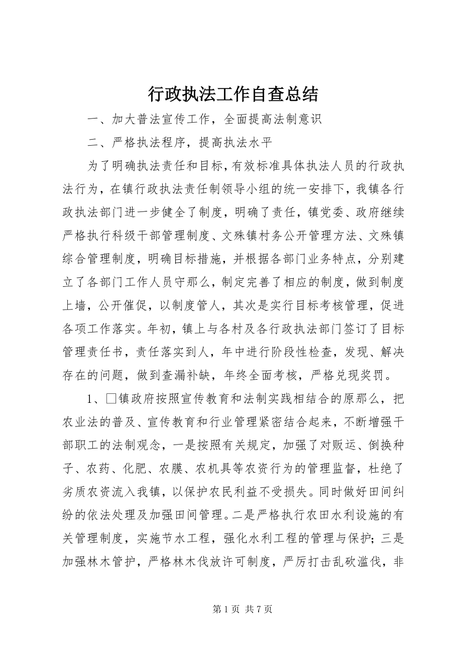 2023年行政执法工作自查总结.docx_第1页