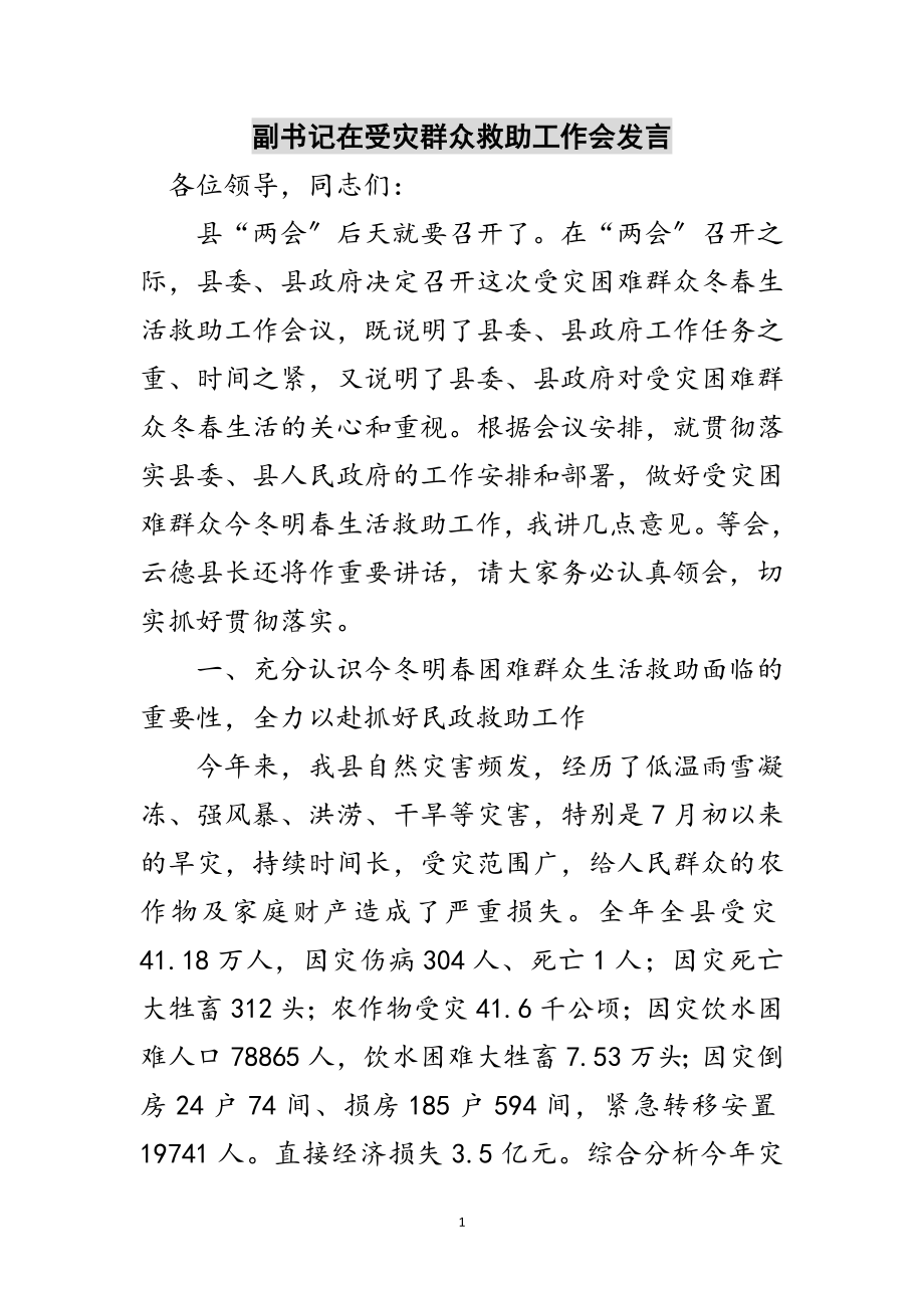 2023年副书记在受灾群众救助工作会发言范文.doc_第1页