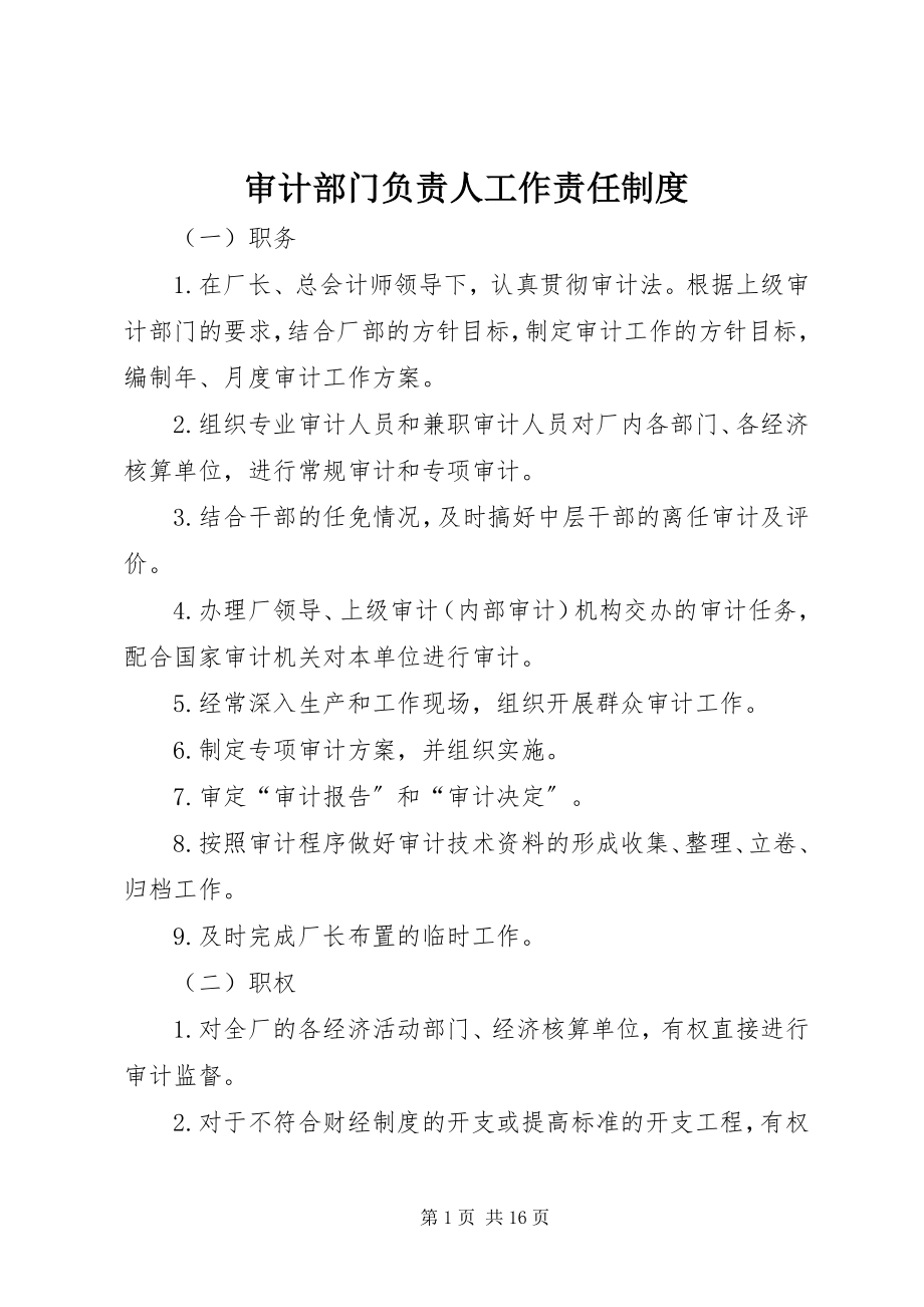 2023年审计部门负责人工作责任制度.docx_第1页