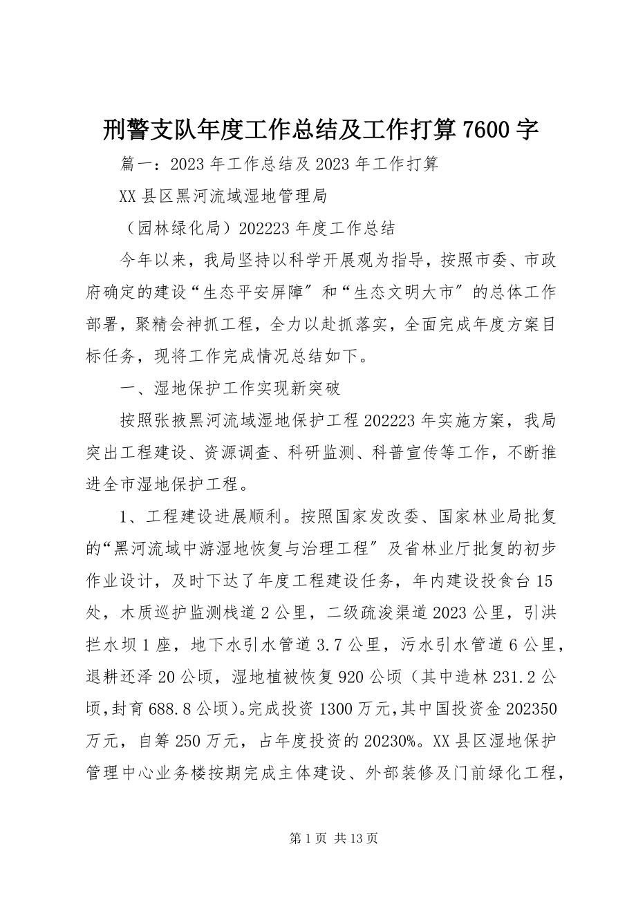 2023年刑警支队年度工作总结及工作打算7600字.docx_第1页