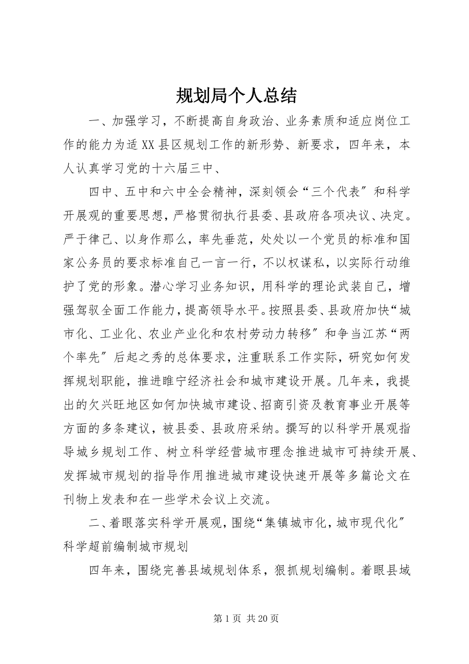 2023年规划局个人总结.docx_第1页