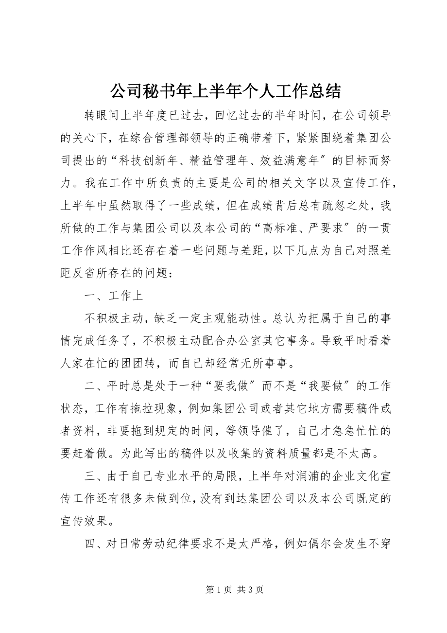 2023年公司秘书年上半年个人工作总结.docx_第1页