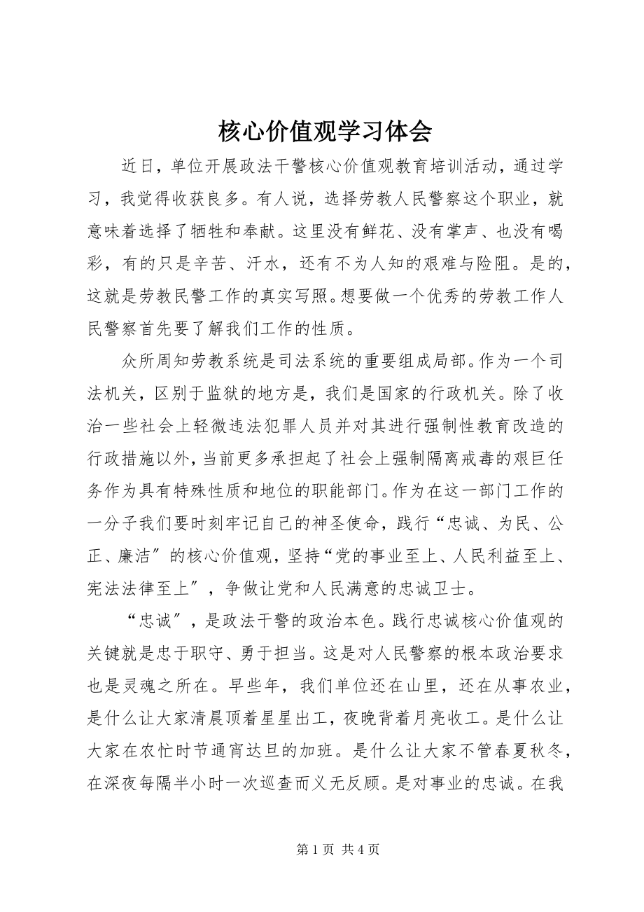 2023年核心价值观学习体会.docx_第1页