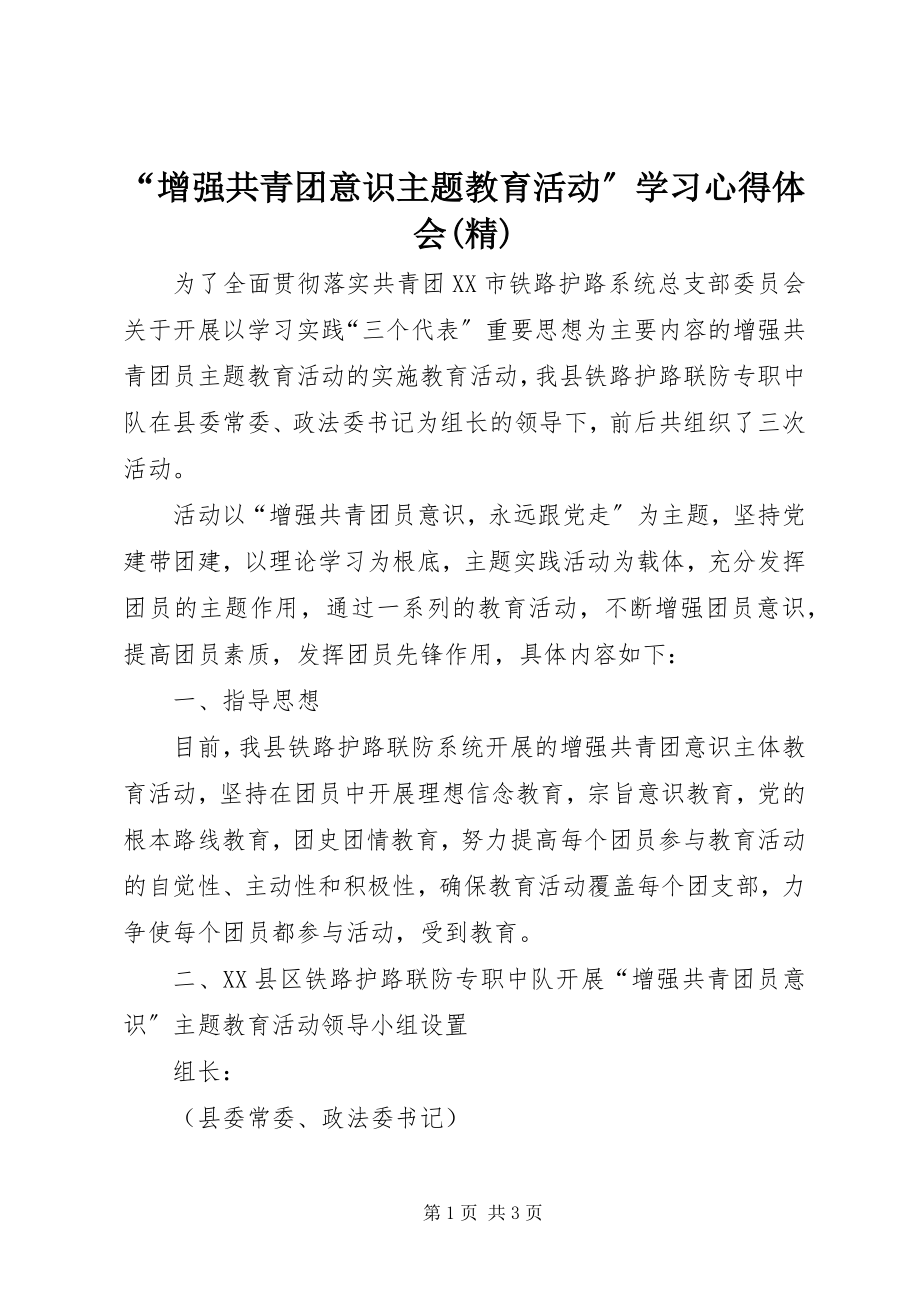 2023年增强共青团意识主题教育活动学习心得体会精.docx_第1页