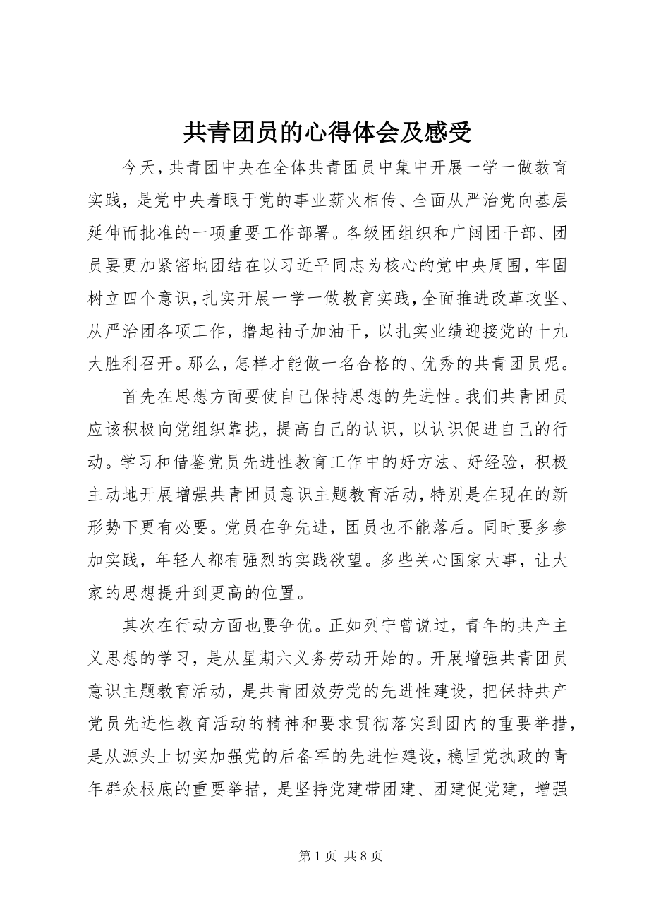 2023年共青团员的心得体会及感受.docx_第1页