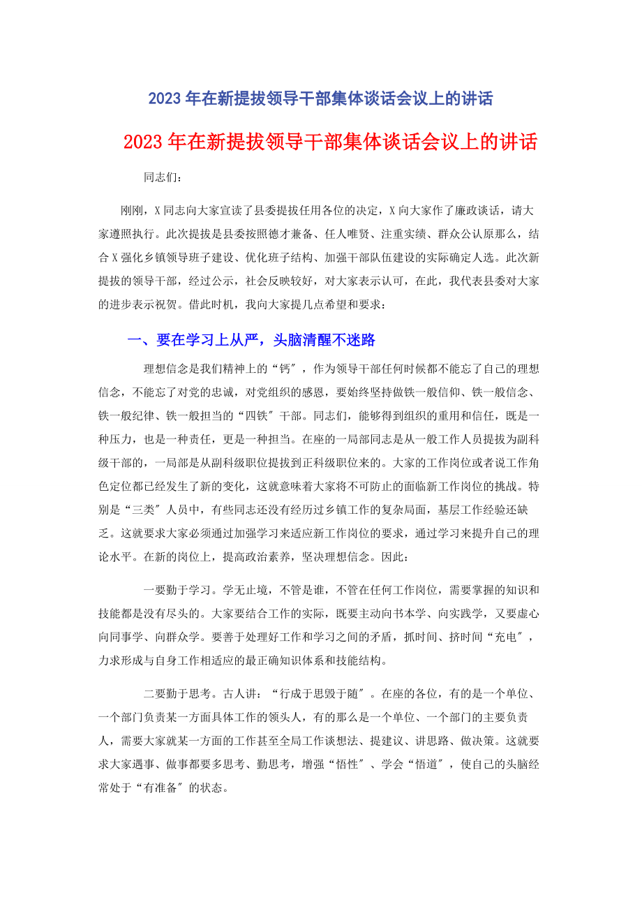 2023年在新提拔领导干部集体谈话会议上的讲话.docx_第1页