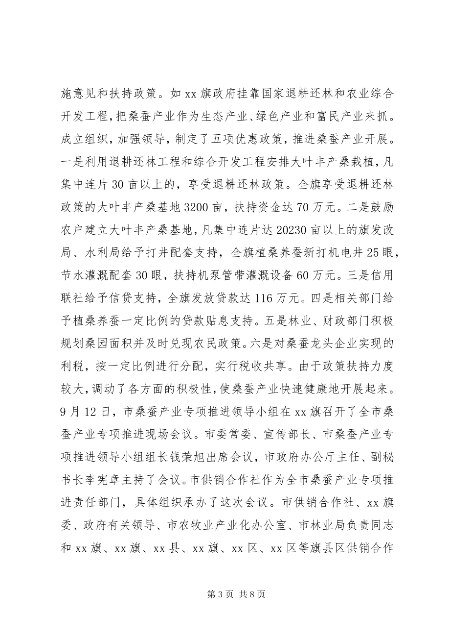 2023年XX省XX市桑蚕产业专项推进工作总结及工作建议新编.docx_第3页