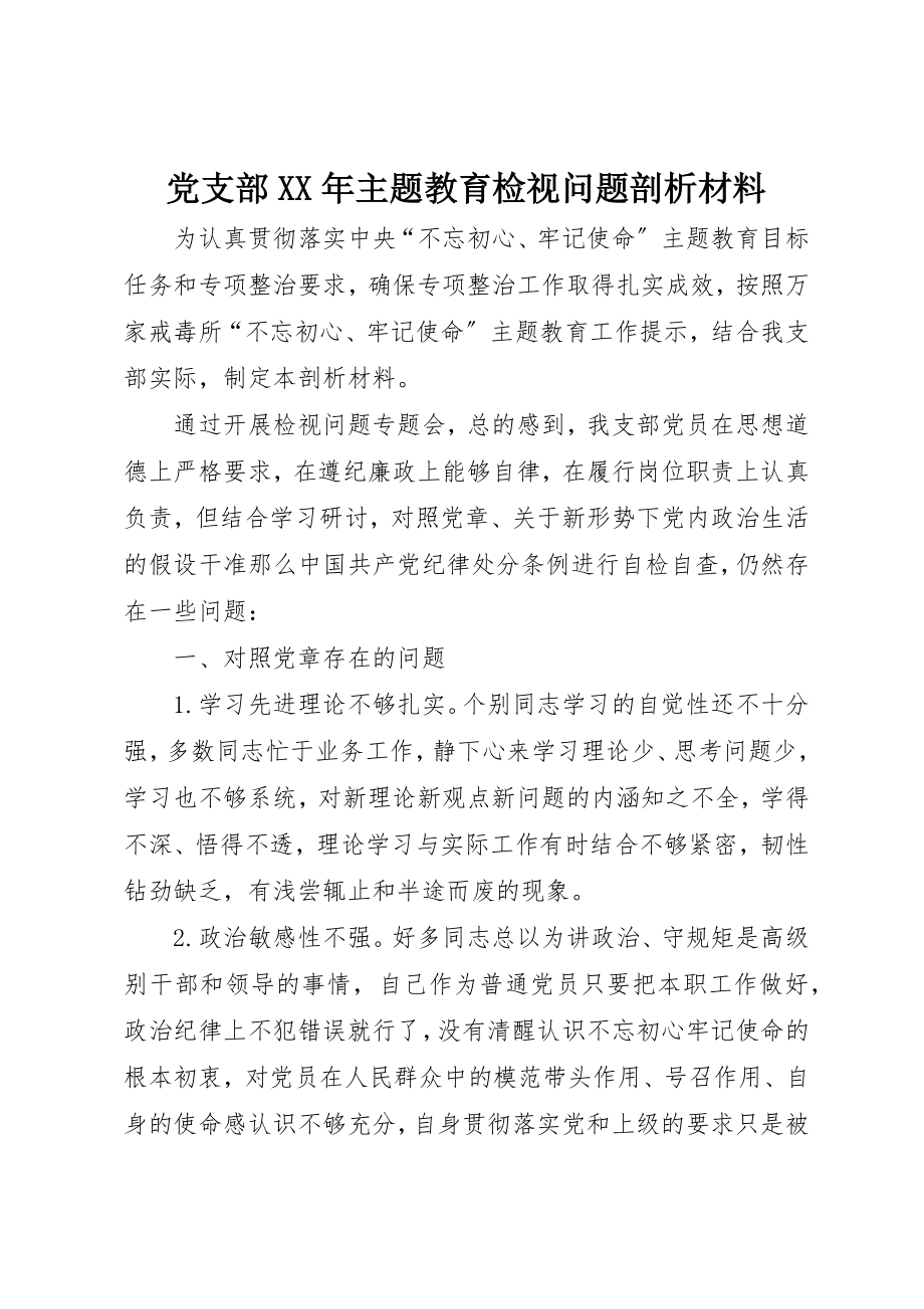 2023年党支部某年主题教育检视问题剖析材料.docx_第1页