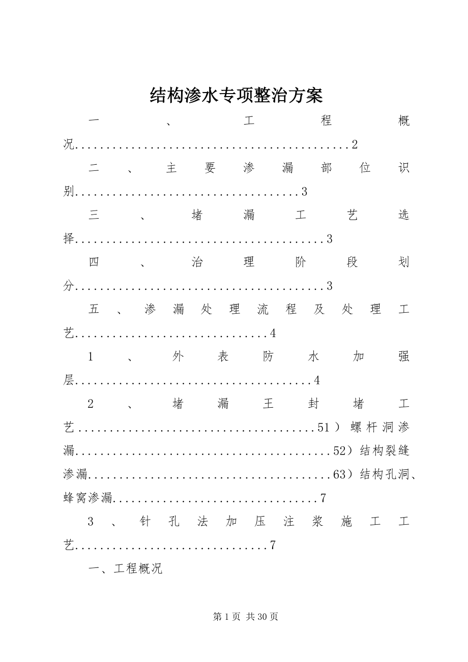 2023年结构渗水专项整治方案.docx_第1页