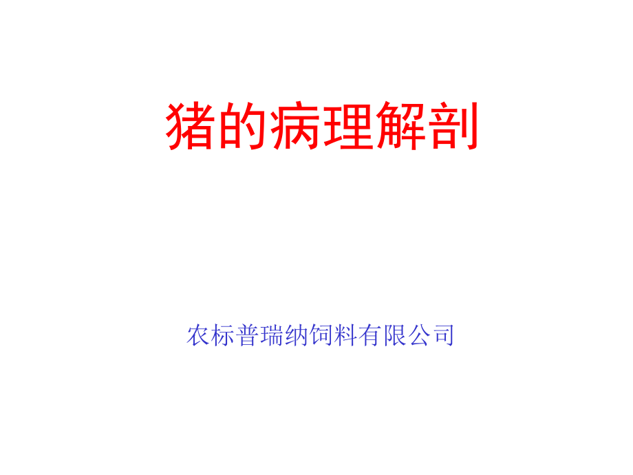 011猪的病理解剖1.ppt_第1页