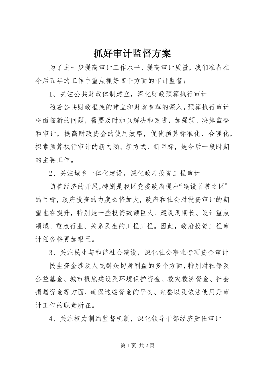 2023年抓好审计监督计划.docx_第1页