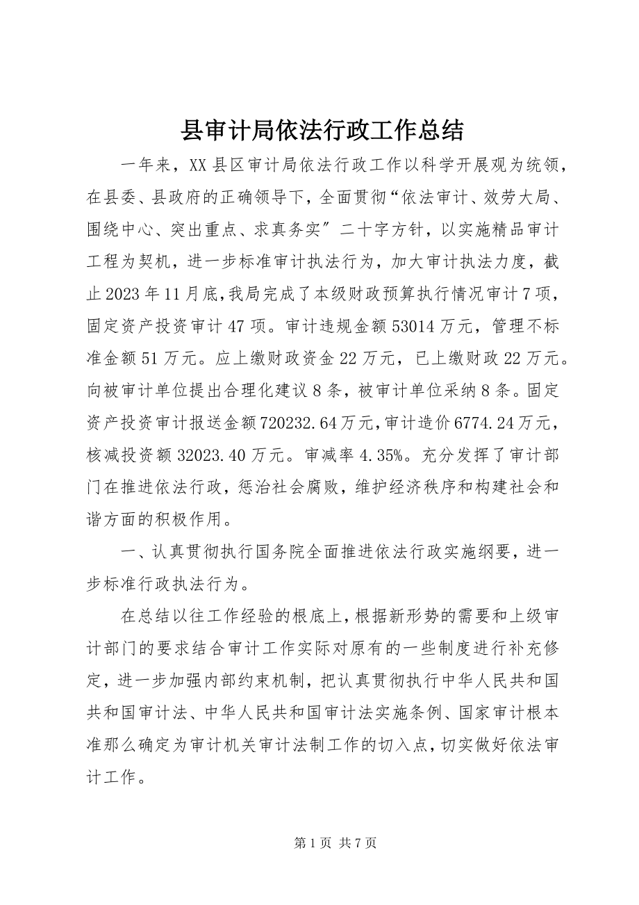 2023年县审计局依法行政工作总结.docx_第1页