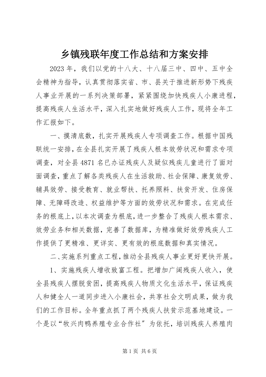 2023年乡镇残联年度工作总结和计划安排.docx_第1页