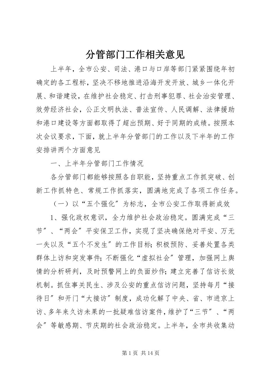 2023年分管部门工作相关意见.docx_第1页