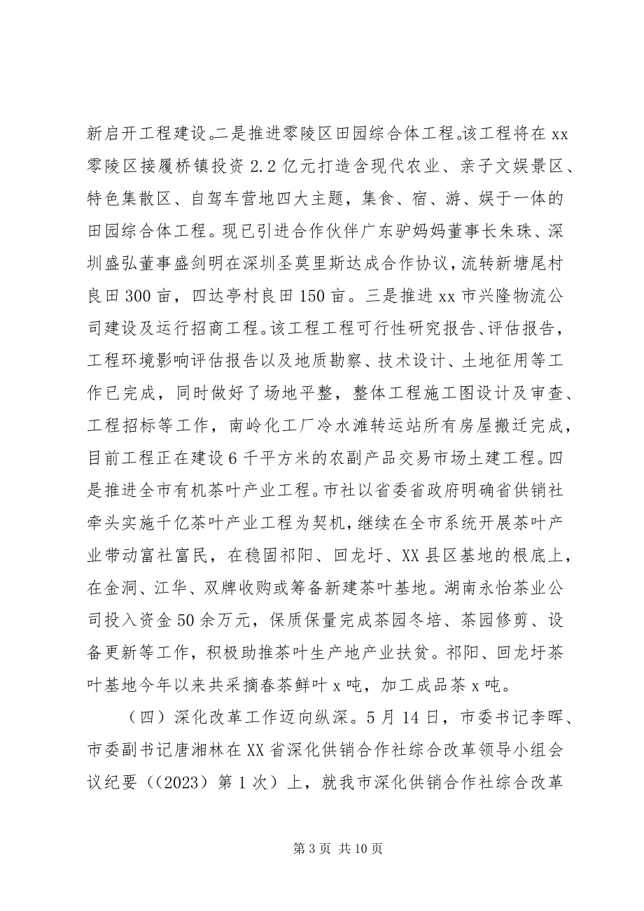 2023年市供销联社上半年工作总结和下半年工作计划.docx_第3页