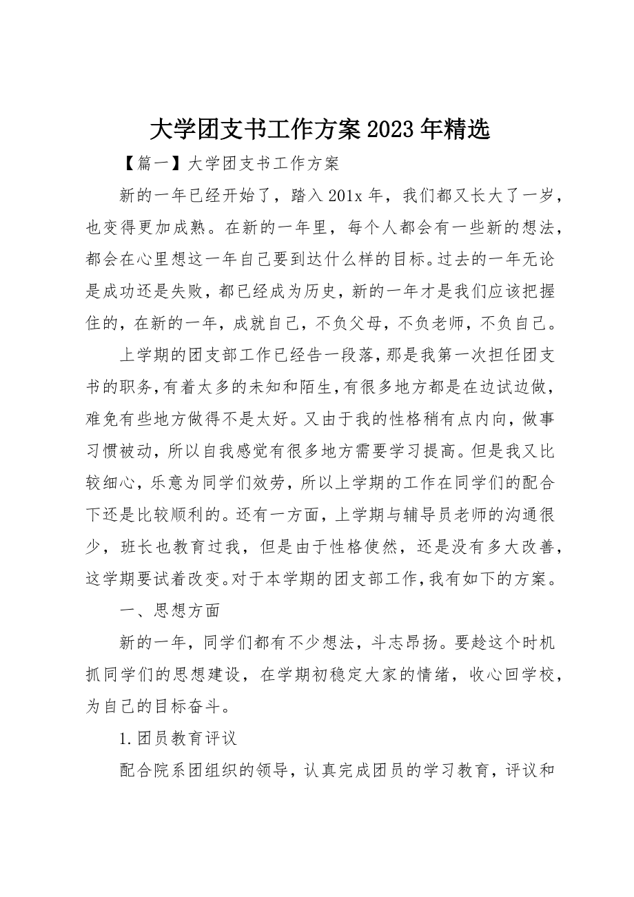 2023年大学团支书工作计划某年精选.docx_第1页