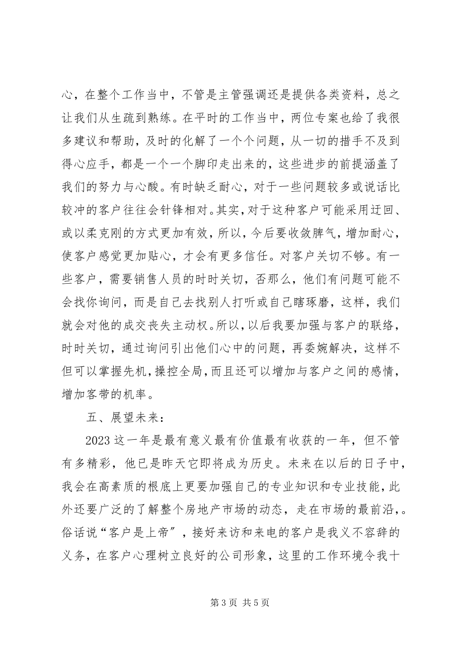 2023年销售业年终工作总结.docx_第3页