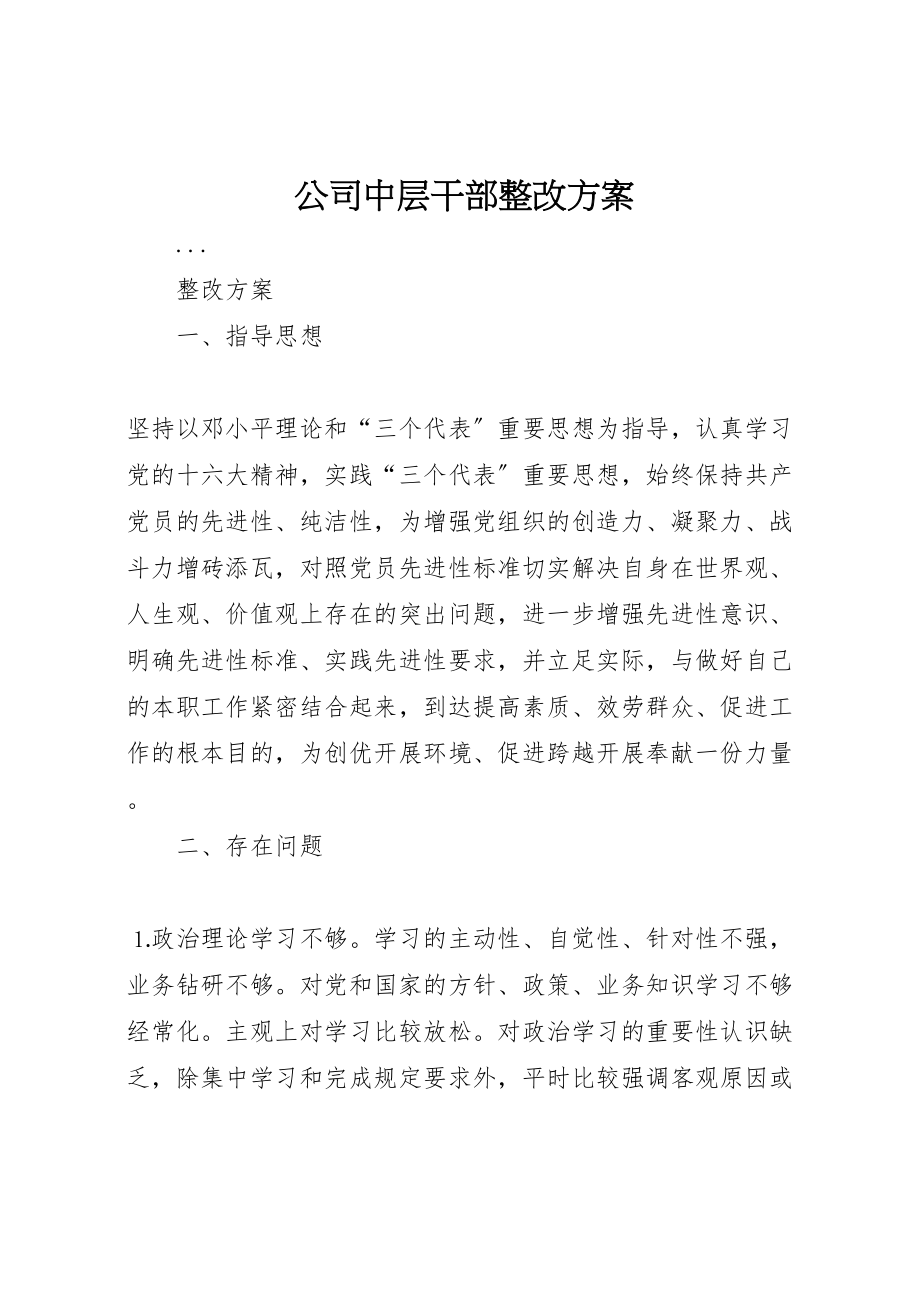 2023年公司中层干部整改方案.doc_第1页