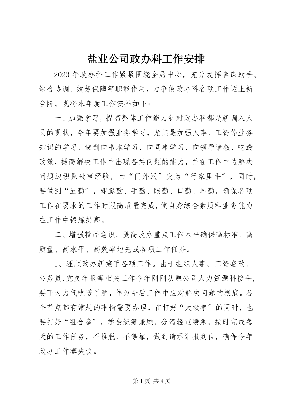 2023年盐业公司政办科工作安排.docx_第1页