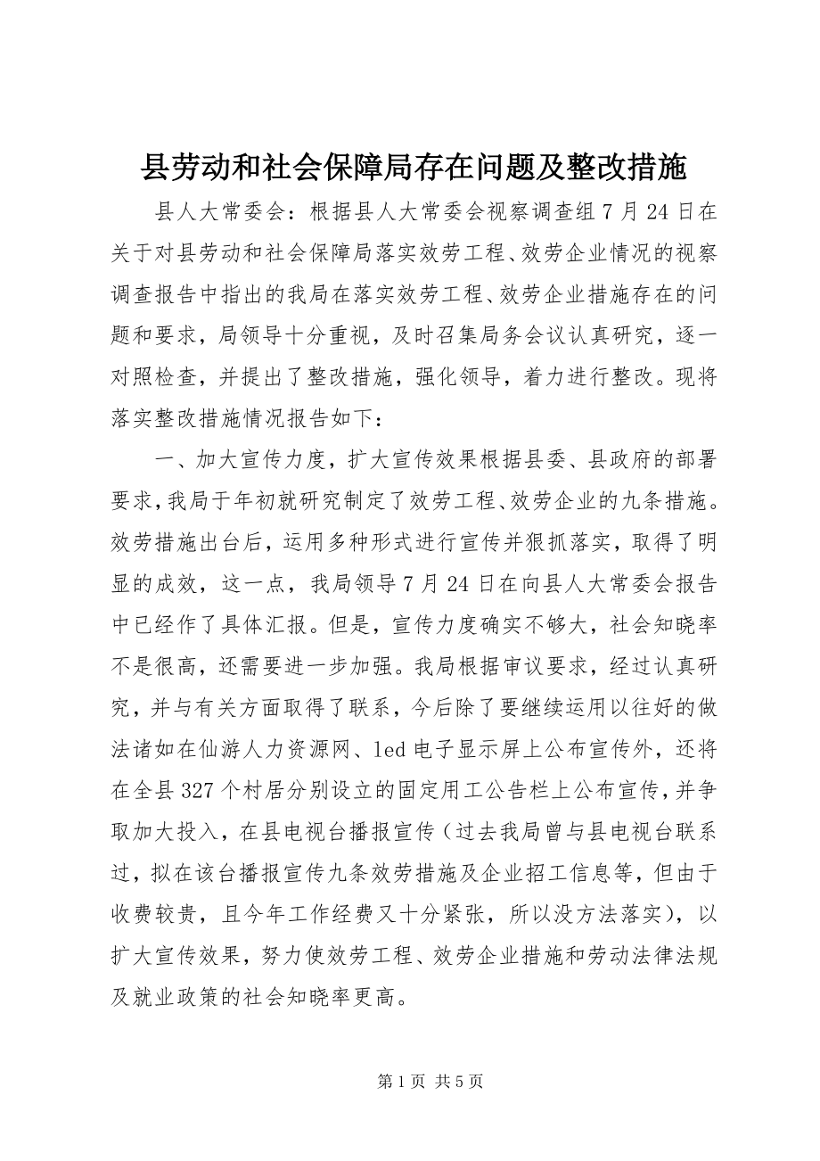 2023年县劳动和社会保障局存在问题及整改措施.docx_第1页