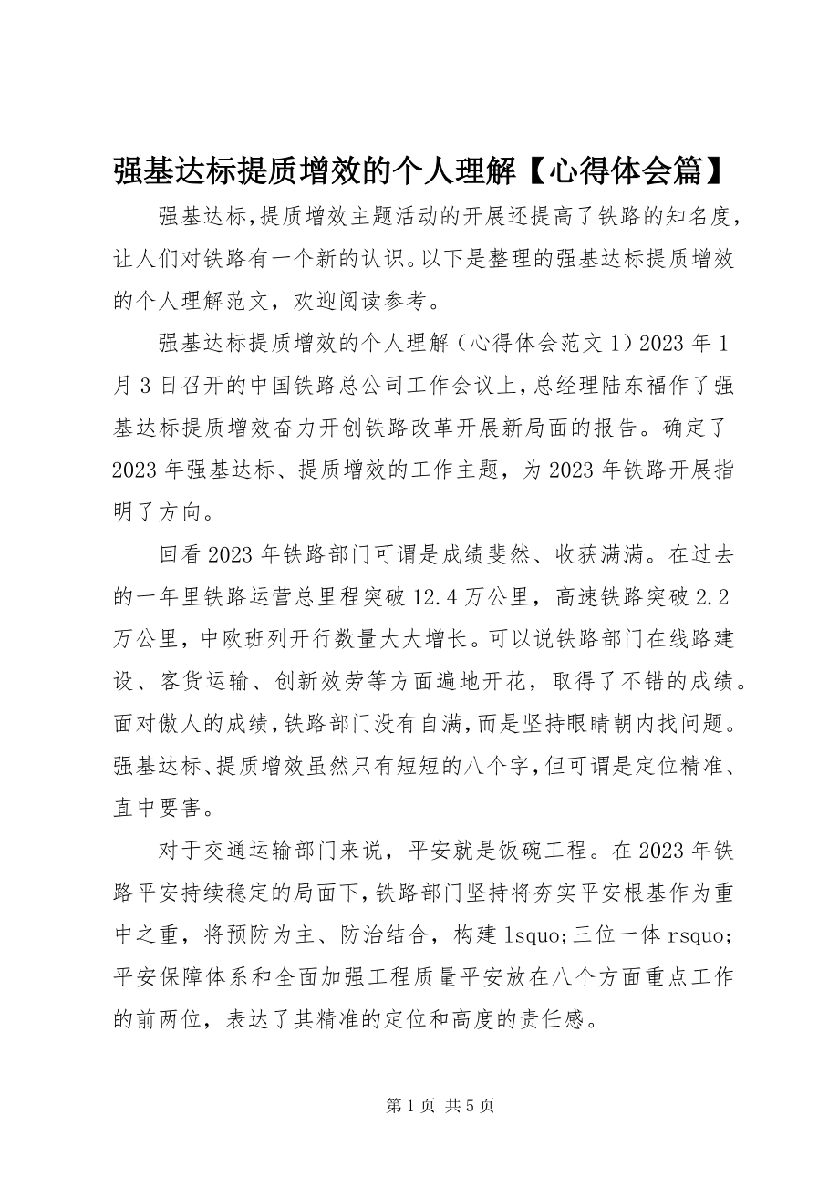 2023年强基达标提质增效的个人理解心得体会篇.docx_第1页