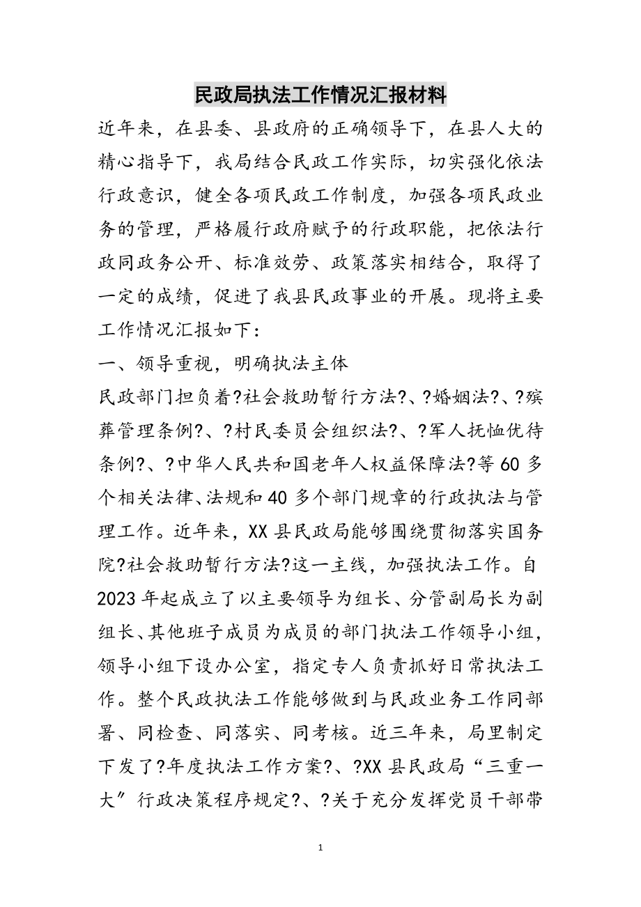 2023年民政局执法工作情况汇报材料范文.doc_第1页