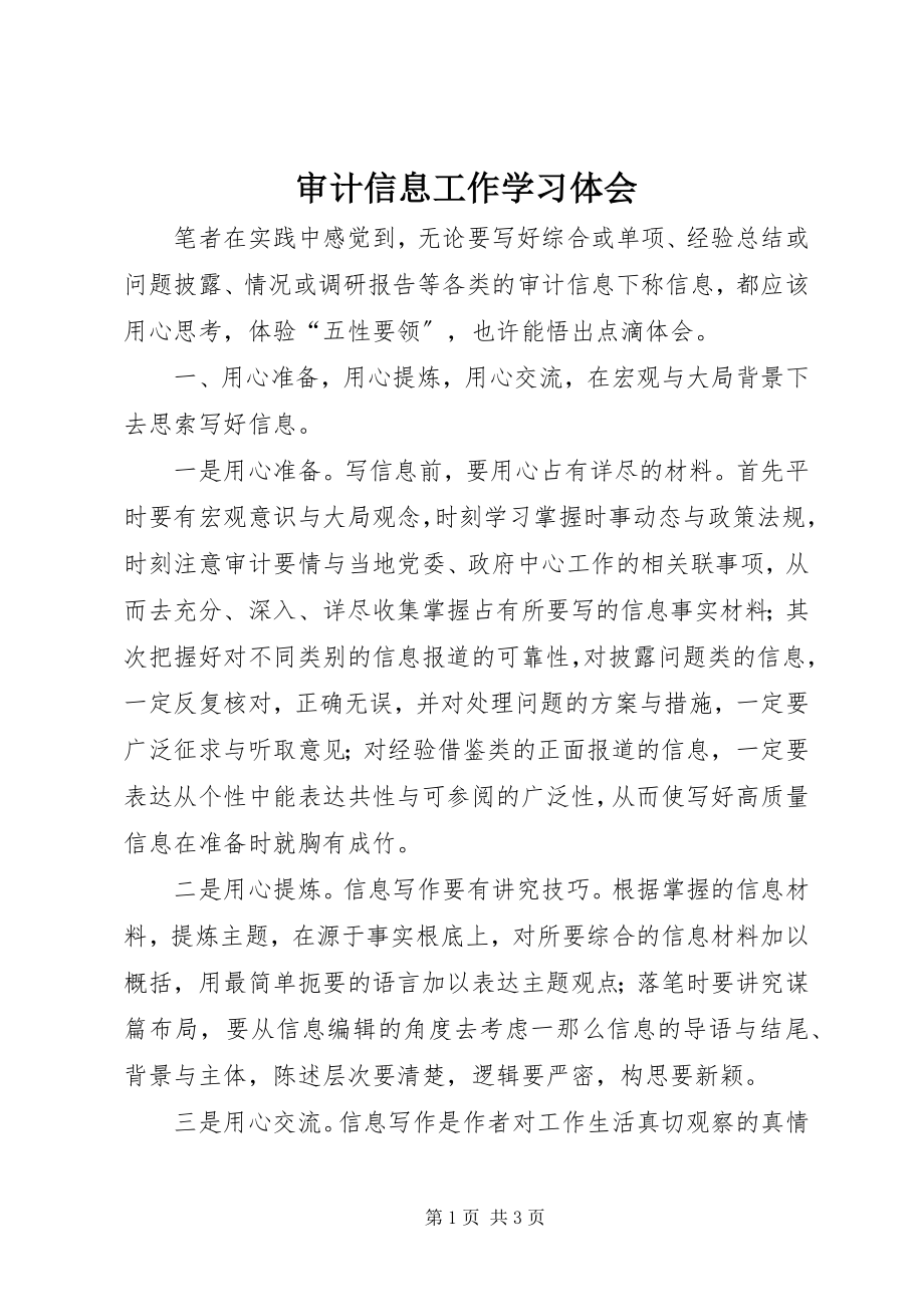 2023年审计信息工作学习体会.docx_第1页