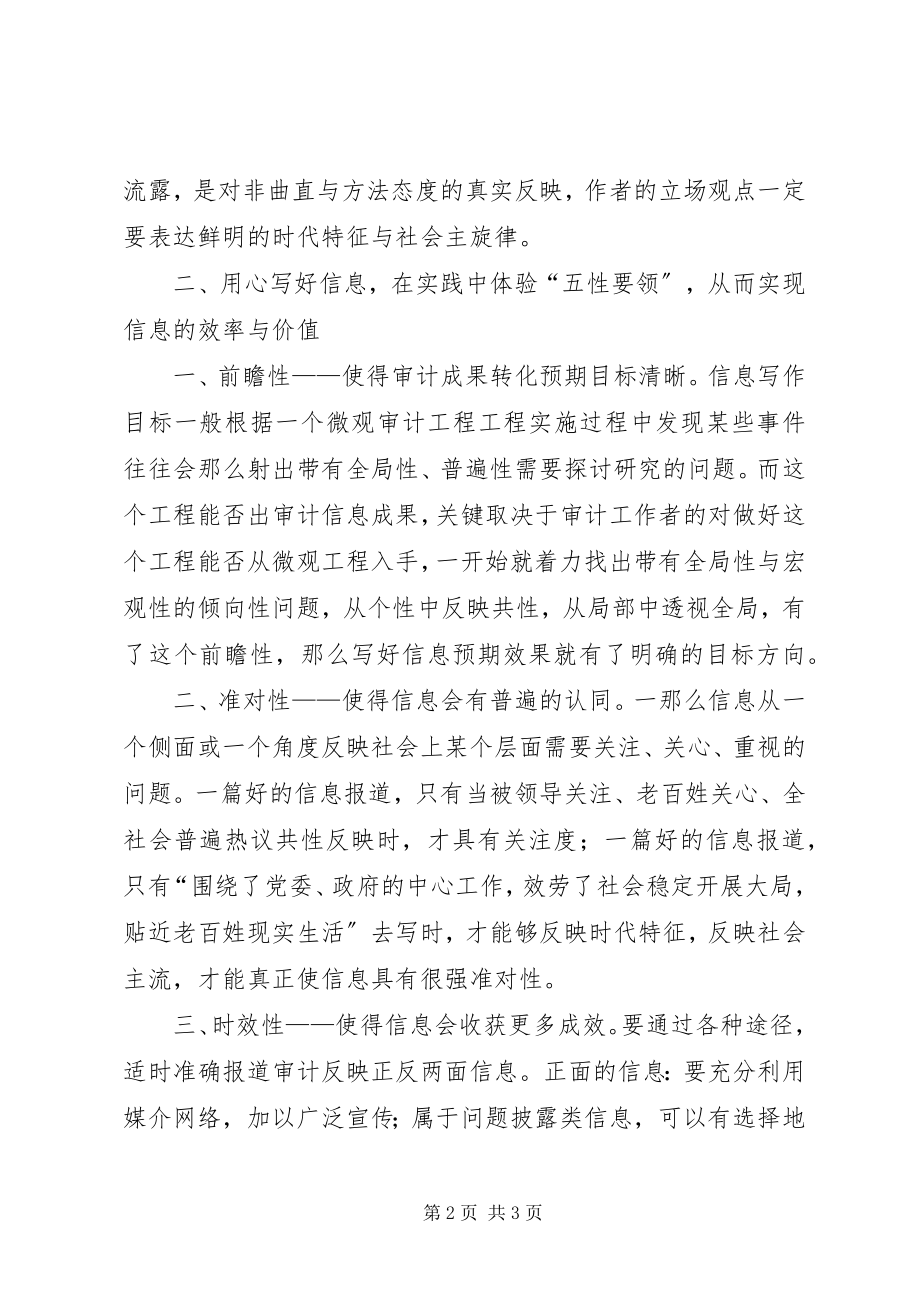 2023年审计信息工作学习体会.docx_第2页