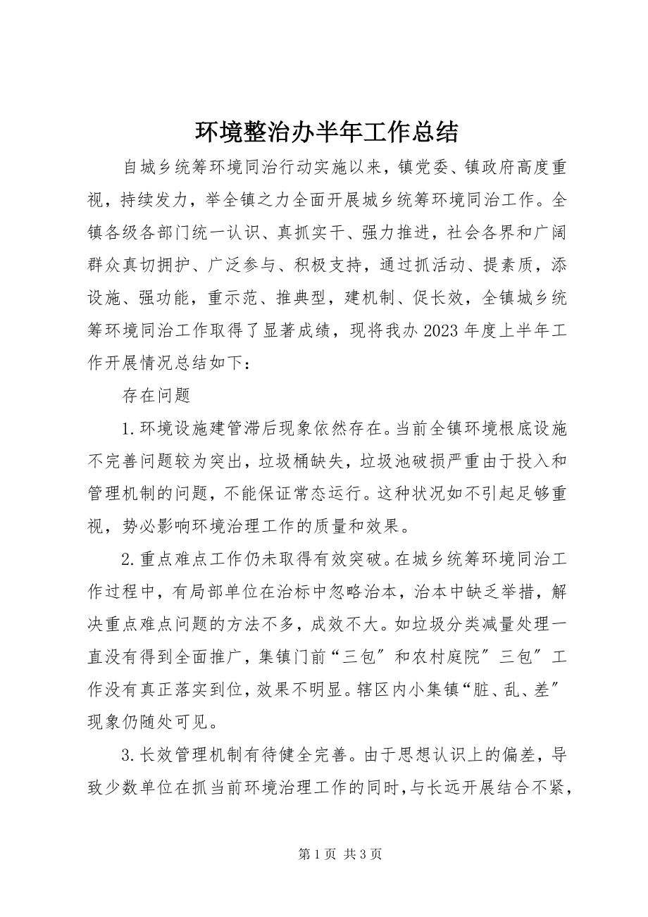 2023年环境整治办半工作总结.docx_第1页