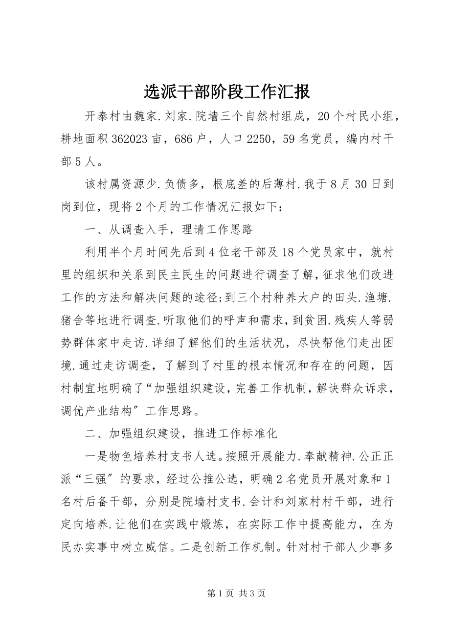 2023年选派干部阶段工作汇报.docx_第1页