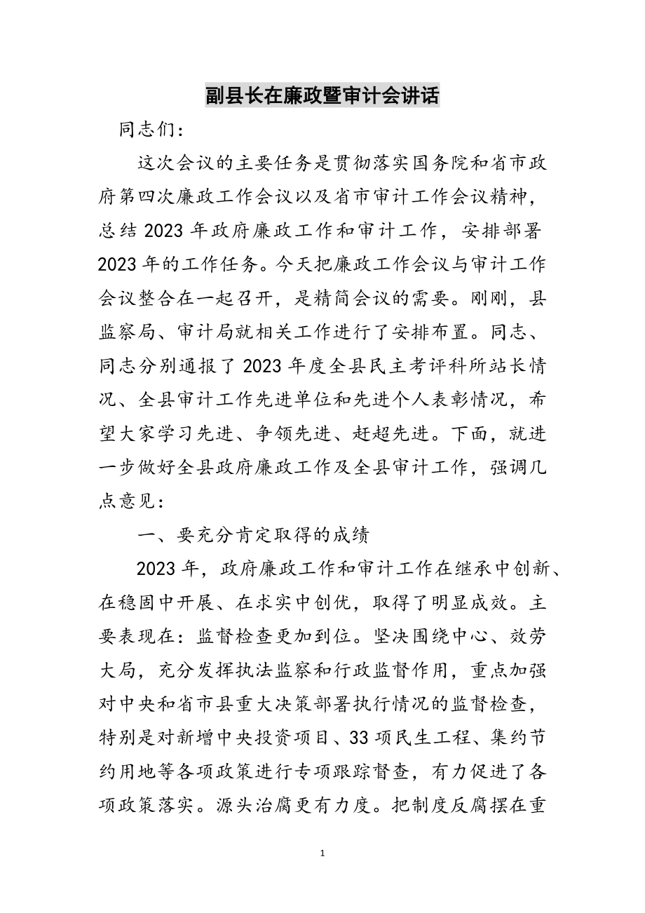 2023年副县长在廉政暨审计会讲话范文.doc_第1页